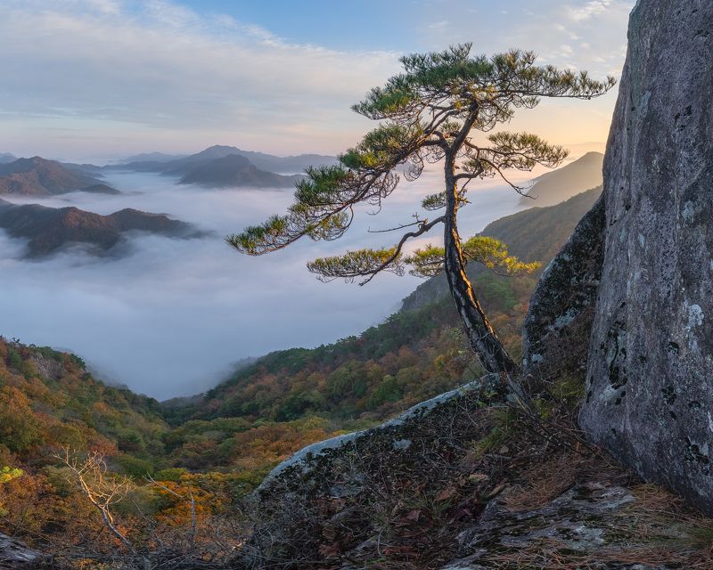 On the cliff belowphoto preview