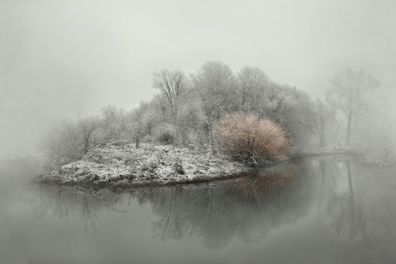 осень Осенний кустphoto preview