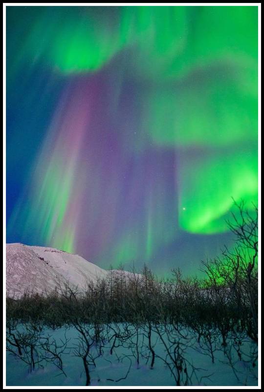 Таймыр сегодняphoto preview