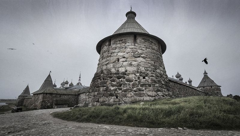 Соловкиphoto preview