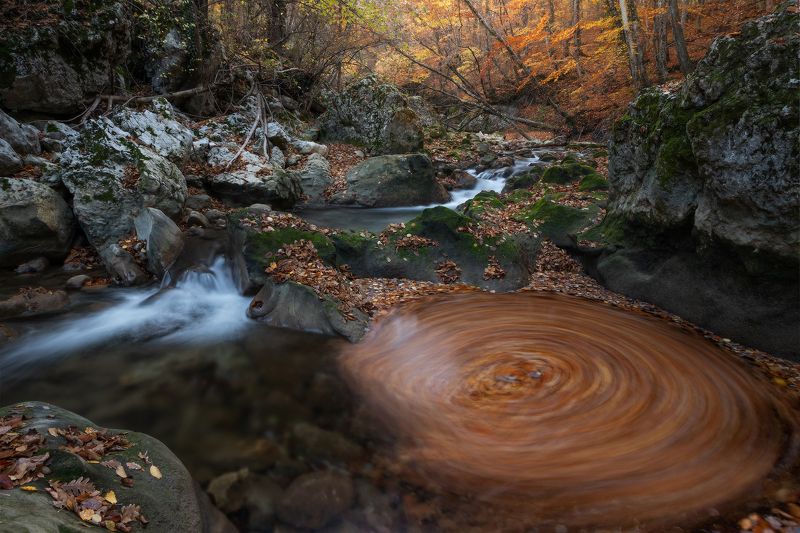 Осенний водоворотphoto preview