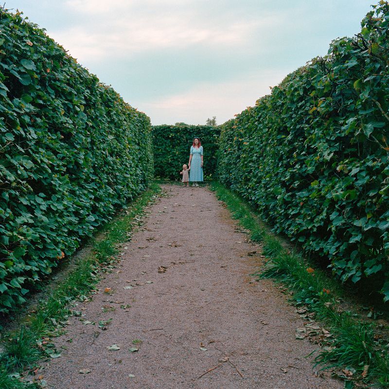 Перспектива зеленого лабиринта фото превью