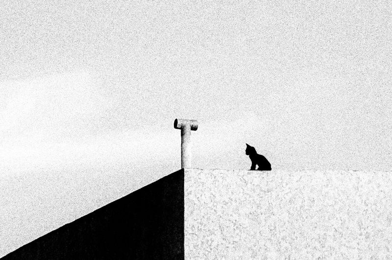 An Illusory Edgephoto preview