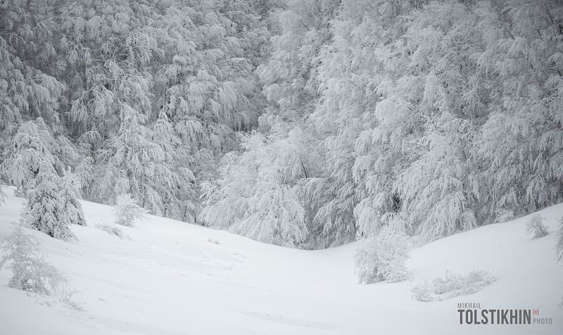 Скоро зимаphoto preview