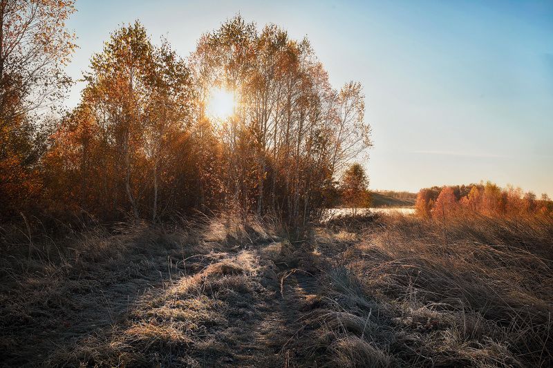 Встречая осеньphoto preview