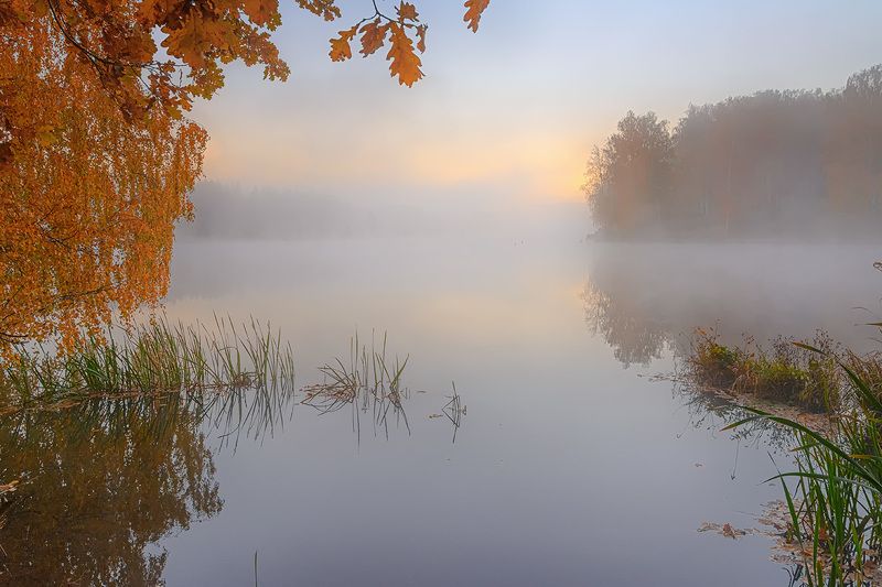 Светает.photo preview