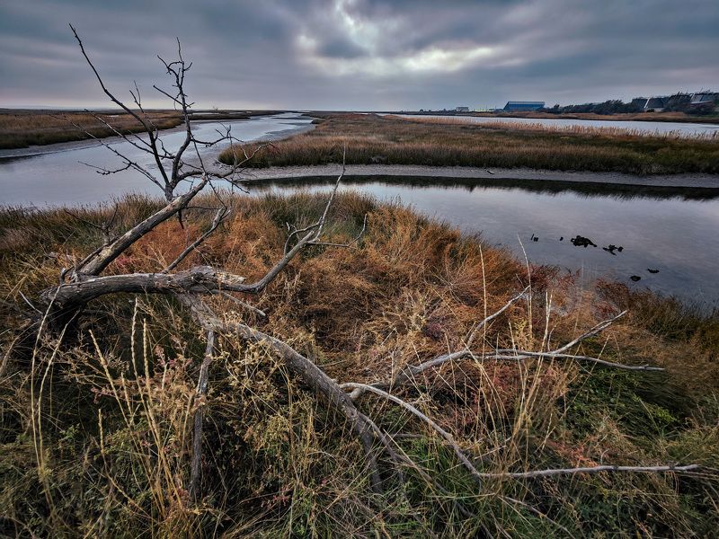 Лиманыphoto preview