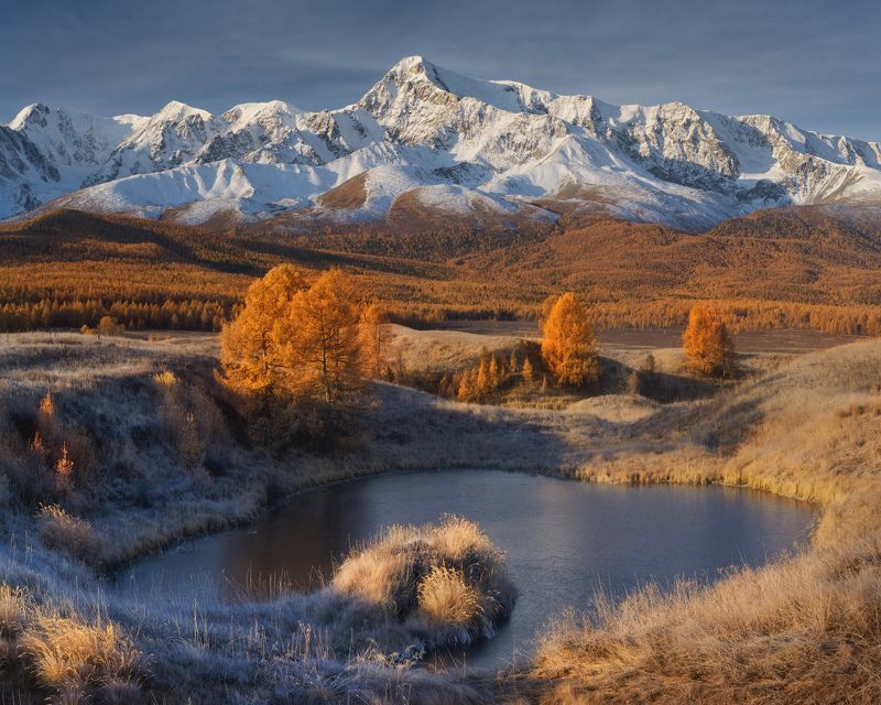 Алтайский китphoto preview