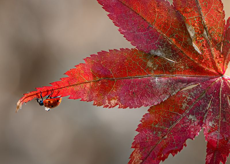 Тяжелая водаphoto preview