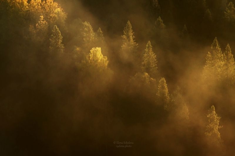 утро, рассвет, туман, усьвинские столбы, осень, золотая Туманное утроphoto preview