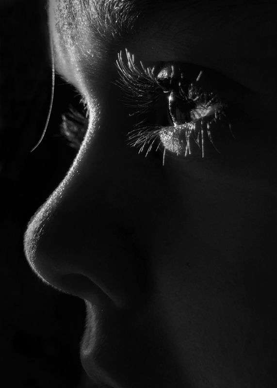 Светphoto preview