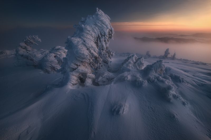 Silent disquietphoto preview