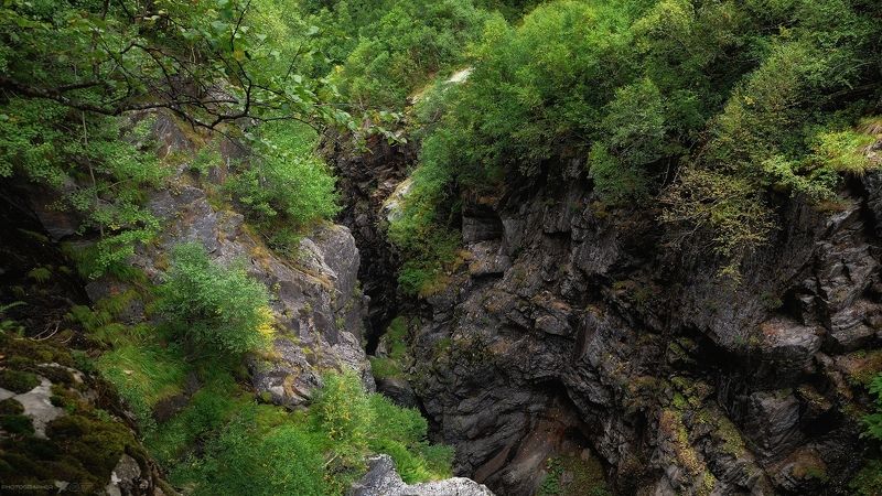 осень природа пейзаж скалы горы лес В скальном разломе... фото превью
