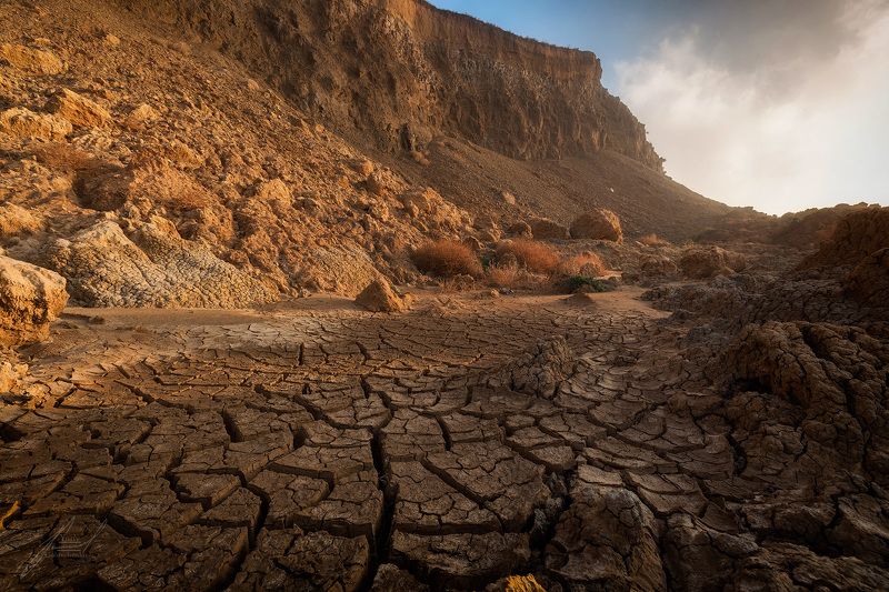 Железный Рог фото превью