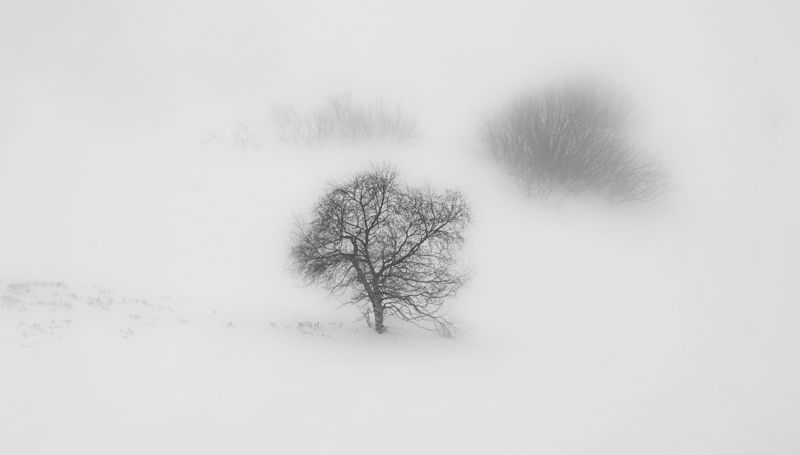 минимализмphoto preview