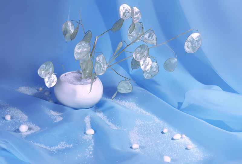 Лунная историяphoto preview