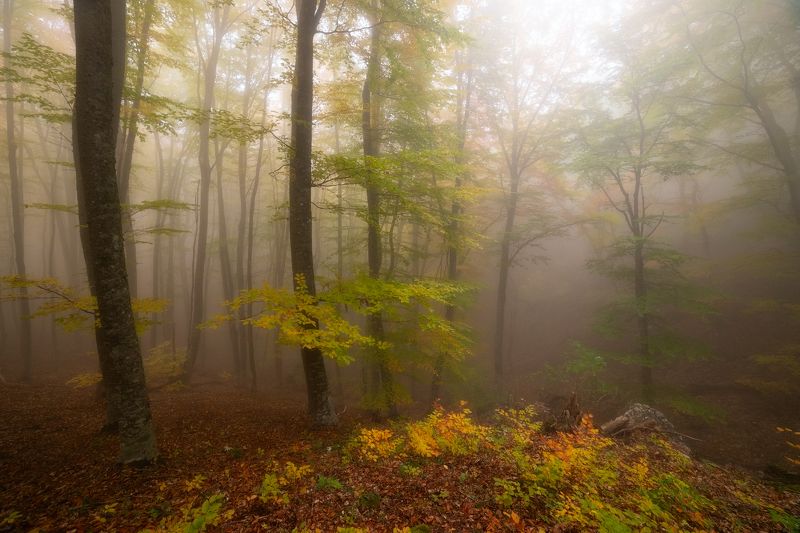 На склонах Демерджиphoto preview