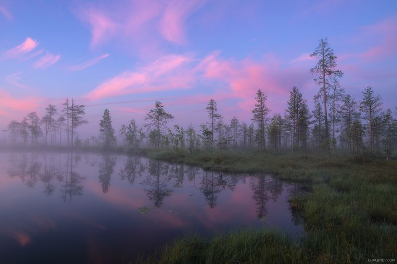 пейзаж, утро, облака, рассвет, озеро, туман, север, коми, дрон, аэросъёмка Тихое утро на Среднем Кадамеphoto preview