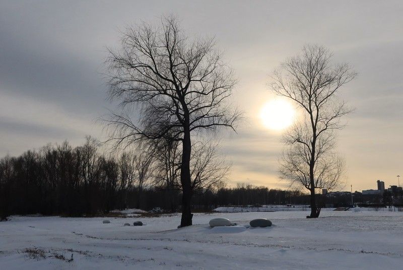 город,пейзаж,деревья,солнце Скоро зимаphoto preview