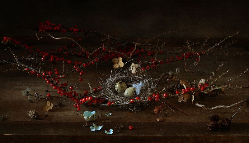 Натюрморт с гнездом фото превью