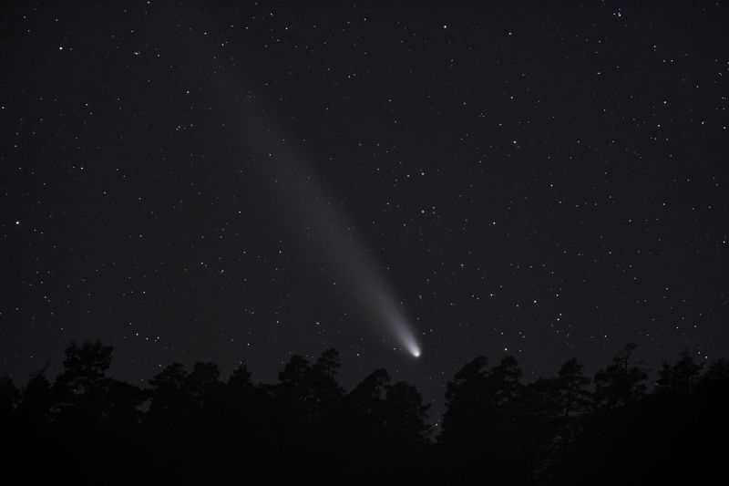 Комета C/2023 A3 (Tsuchinshan–ATLAS) над лесомphoto preview