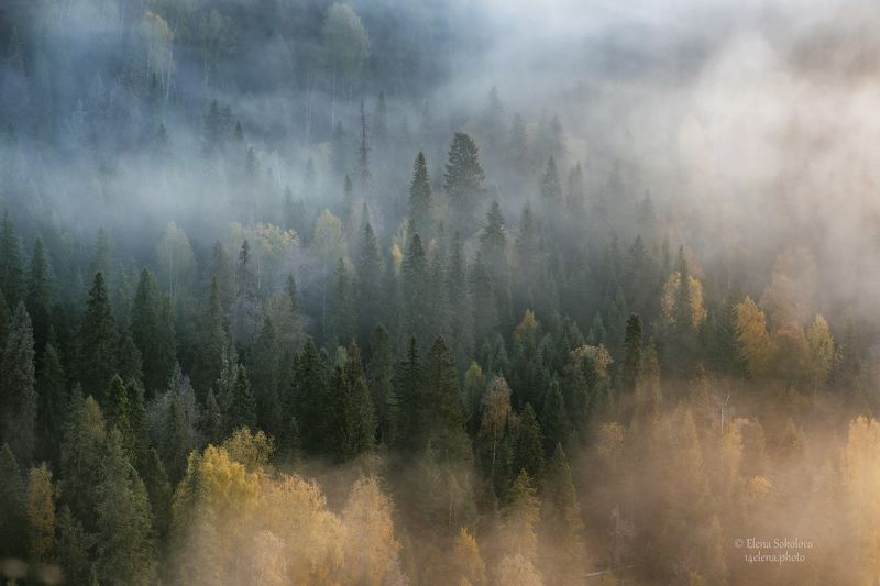 усьвинские столбы, лес, туман, утро, рассвет, золотая осень Перед рассветомphoto preview