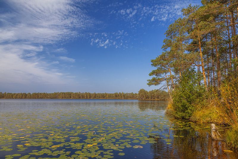 природа, небо, осень Осень. Озеро Худичевоphoto preview