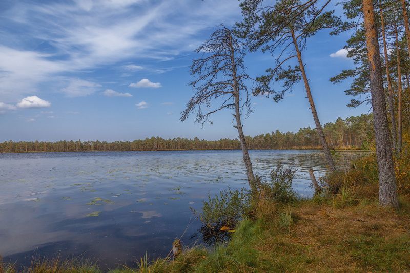 природа, небо, осень Осень... Озеро Худичево...photo preview