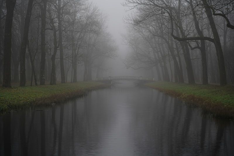 A morning in Novemberphoto preview