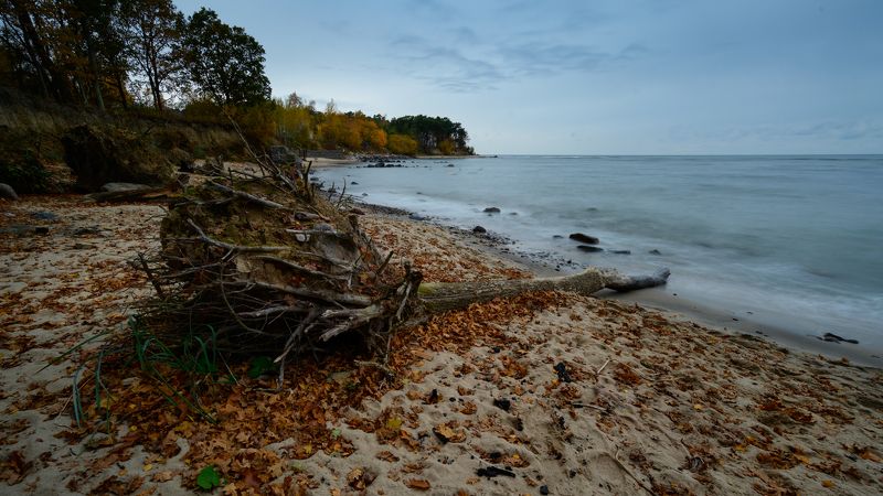 калининград, балтийское_море, осень photo preview