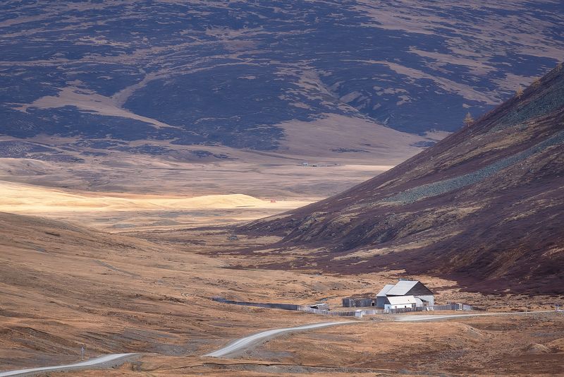 Дорога на Алтаеphoto preview