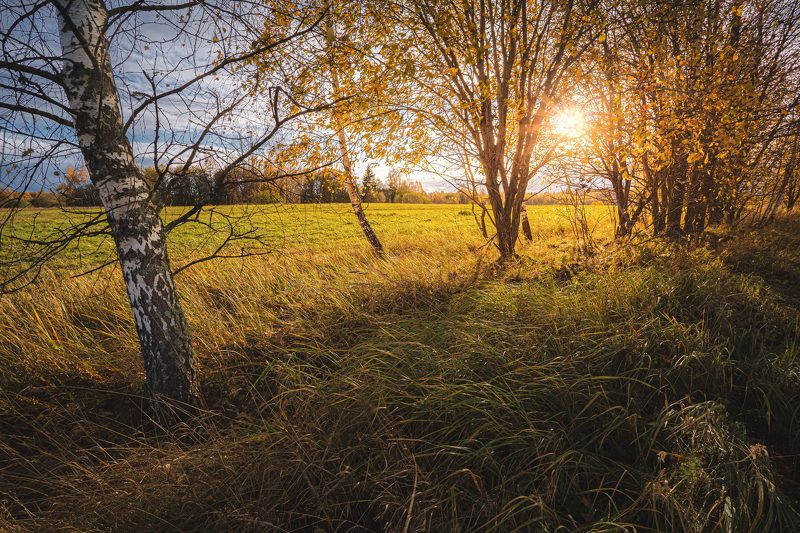 закат, торбеево Очарование осени... фото превью
