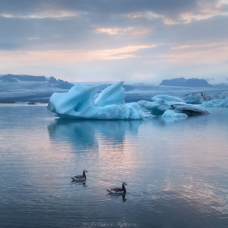 Закатный свет в лагуне с айсбергами. Исландияphoto preview