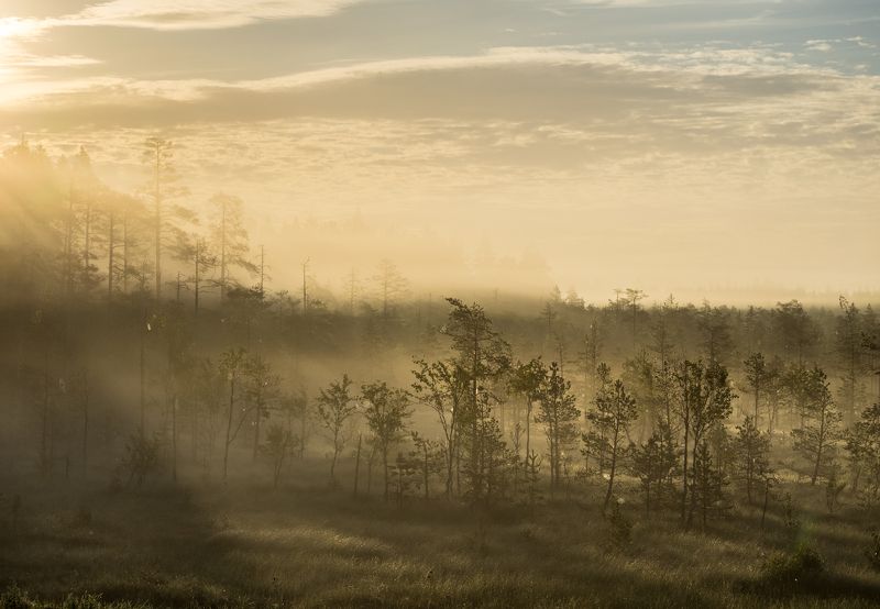 Карельское утроphoto preview