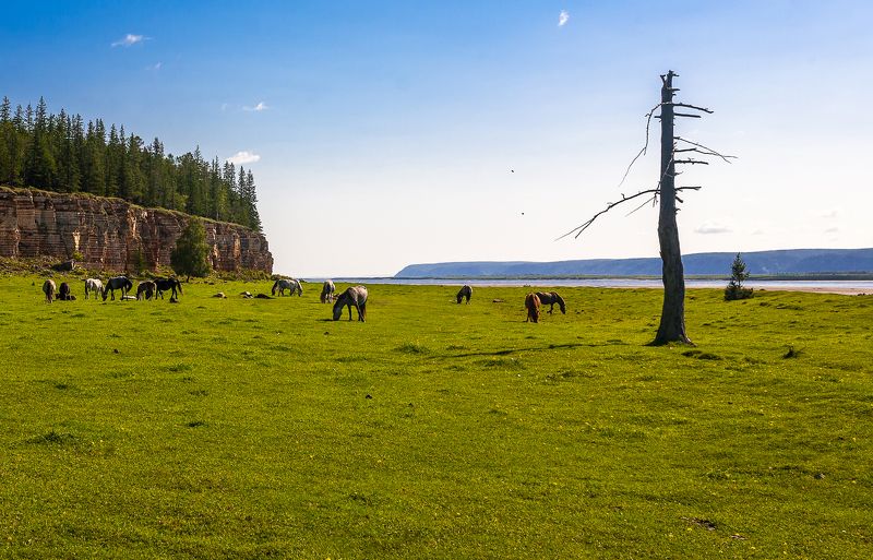 Ленские просторы. фото превью