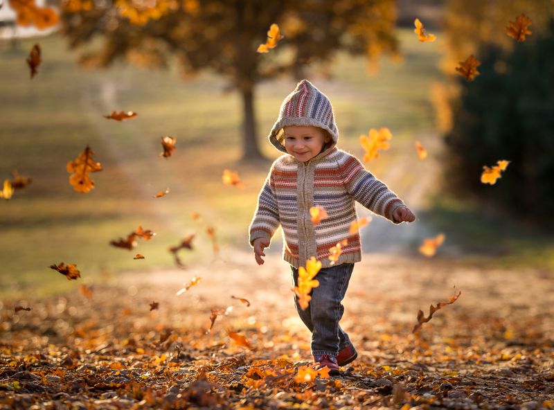 child,children photography, fotograf olsztyn, child portrait Autumn joyphoto preview