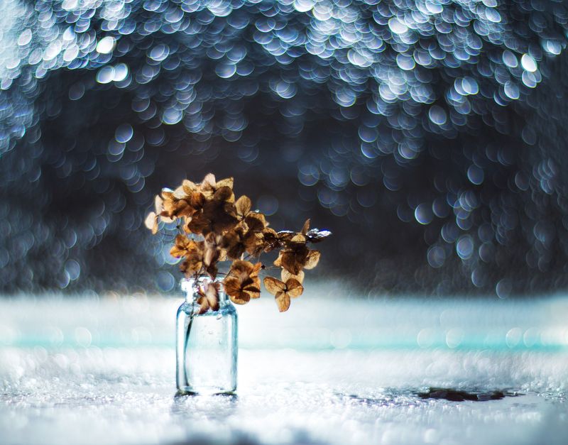 букет мини-букетphoto preview