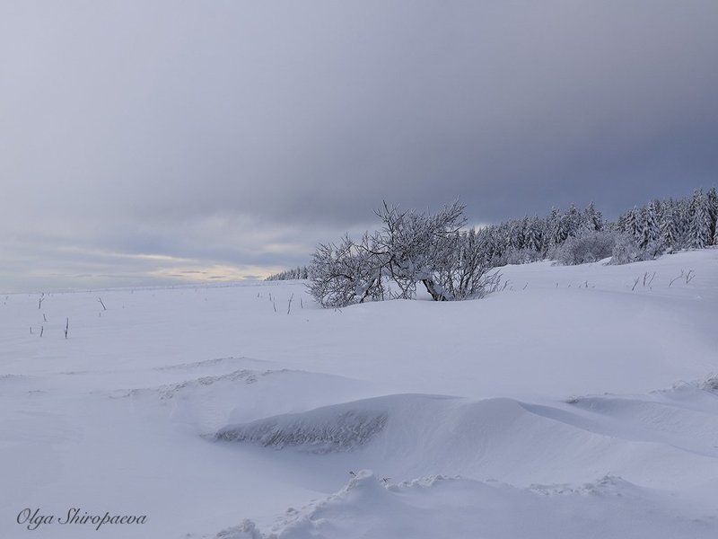 Чехия Германия зима снег  Божий Дар. Чехия.photo preview