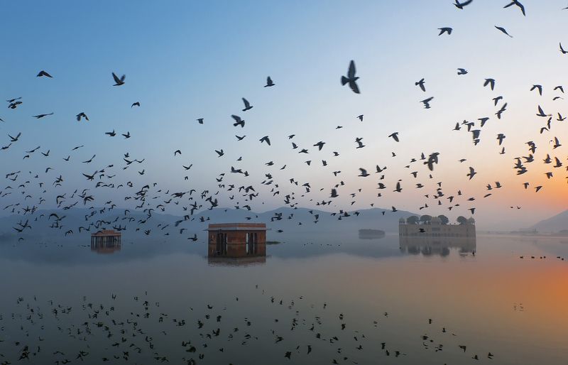 Ravikanth Kurma, India