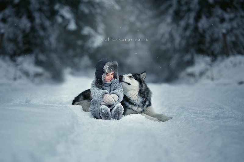 child, kid, dog, malamute Winter talesphoto preview