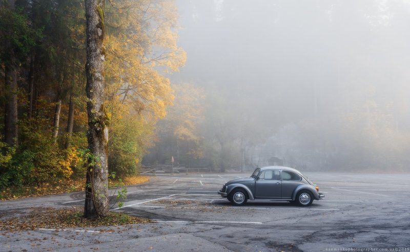 fussen,bavaria,германия,утро,парк,осень,sony,a7r Германия. Fussen. Осеннее утро в парке.photo preview