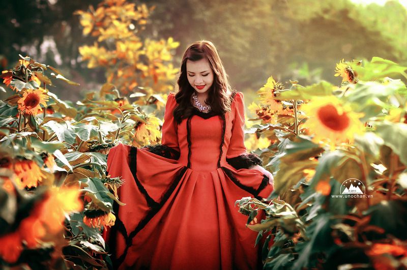 flower, sun set, light, red, girl, pretty, beauty Sun flowerphoto preview