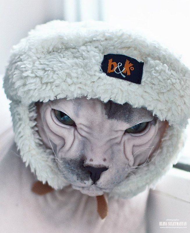 Зима, холода...))photo preview