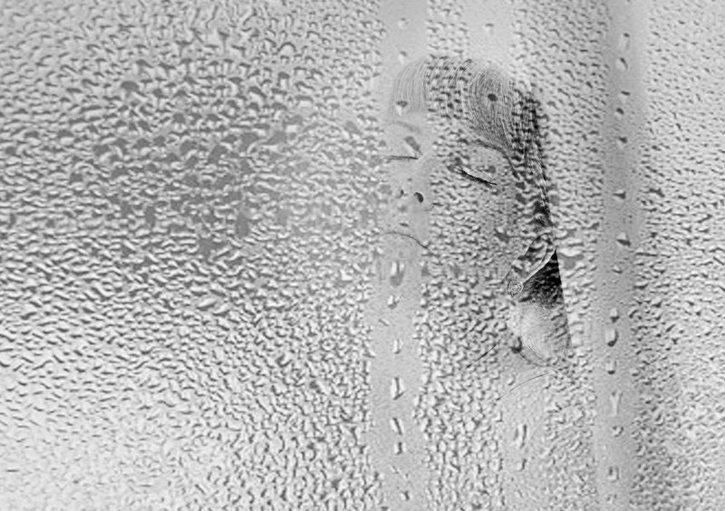 девушка,черно-белое фото Автопортретphoto preview