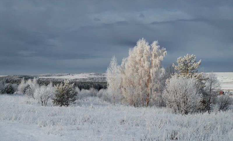Зима, Небо, Панорама, Пейзаж, Природа ...был сильный мороз...photo preview
