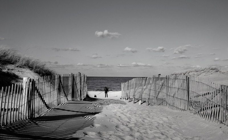 с кляксой на поводкеphoto preview