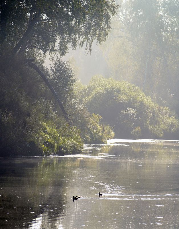 утро на озереphoto preview