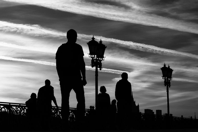 Полосатый мирphoto preview