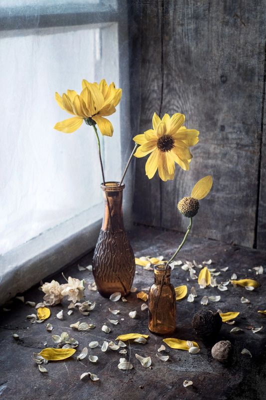 натюрморт, осень, окно Жёлтая осеньphoto preview