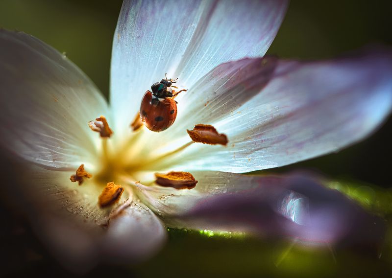 Вот это бабахнуло!photo preview